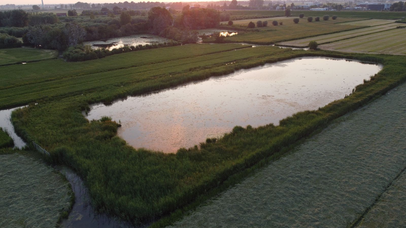 Niederländische Agrarflächen mit Feldern, Wasserläufen und Teich aus der Luft